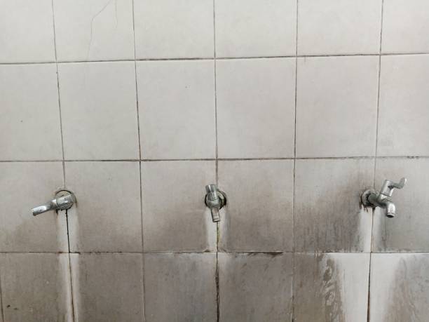 Best Carpet water damage restoration  in Spirit Lake, IA