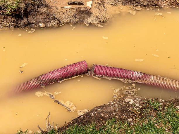 Best 24-hour water damage restoration  in Spirit Lake, IA