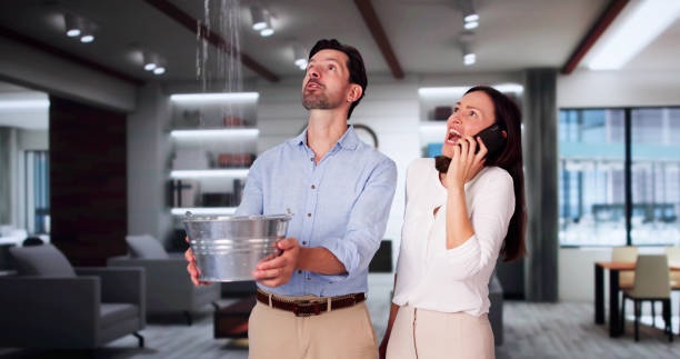  Spirit Lake, IA Water damage restoration Pros